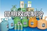 制冷劑氟利昂